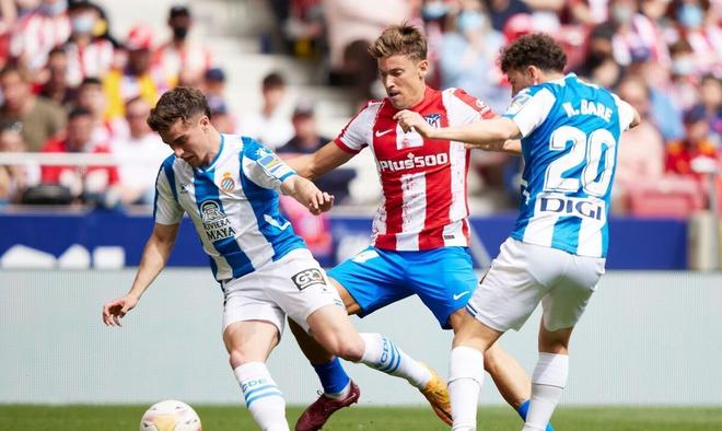 人惊叹的成 人惊叹的成